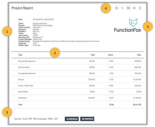 FunctionFox product image view of produced report.